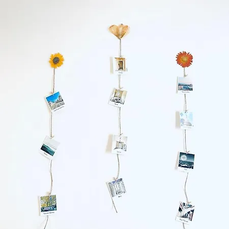 Casa Milu Apartamento